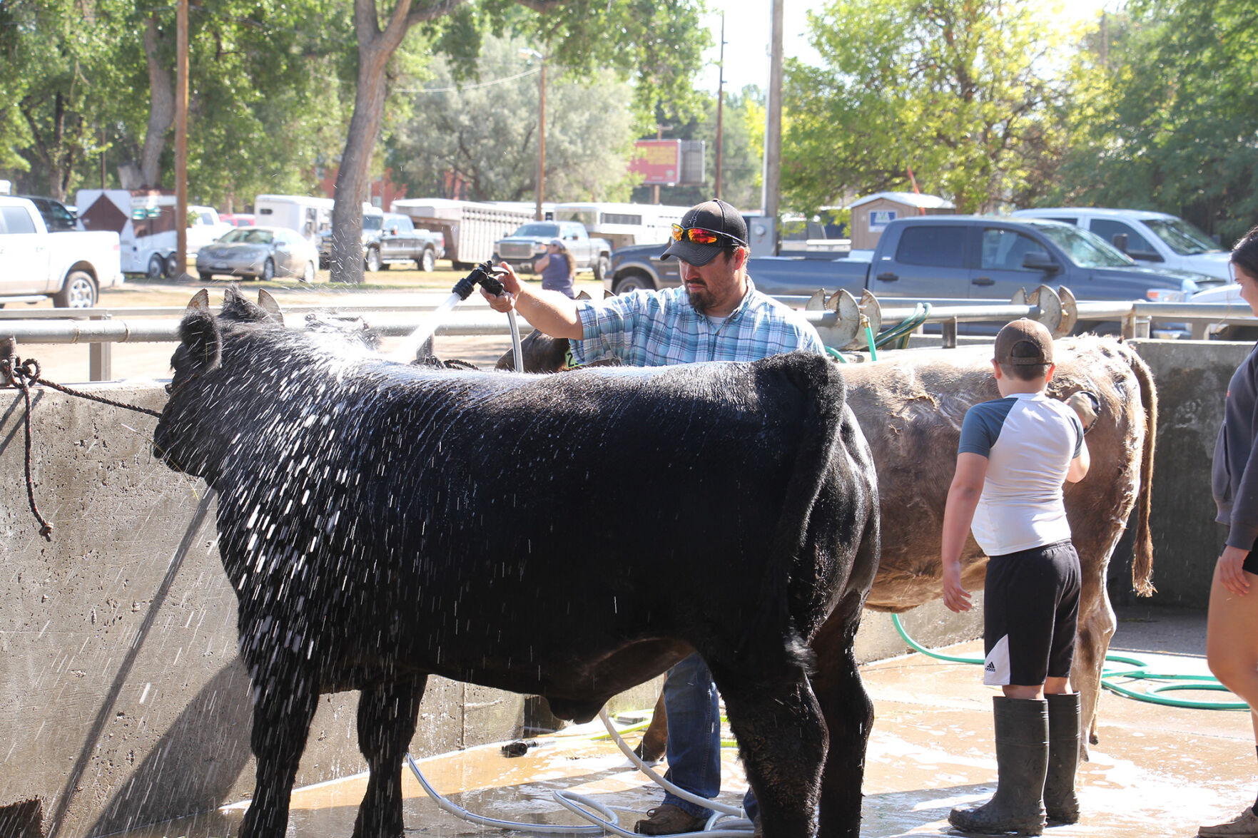 PHOTOS: More from the Scotts Bluff County Fair 2020